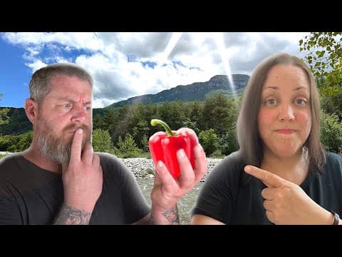 Outdoor Provençal Piperade