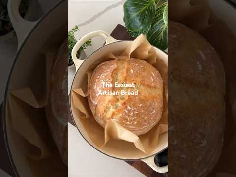 Easy Dutch Oven Bread - American Side Dish Easy Dutch Oven Bread - Delicious American side dish with easy difficulty. Perfect recipe converted from YouTube video to PDF format.