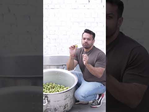 Making of Chyawanprash (Amlaprash) 55% Amla & 40+ Ayurvedic Herbs